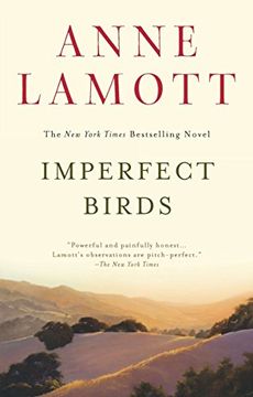 portada Imperfect Birds (en Inglés)