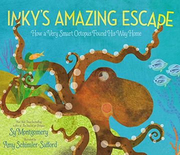 portada Inky's Amazing Escape: How a Very Smart Octopus Found his way Home (en Inglés)