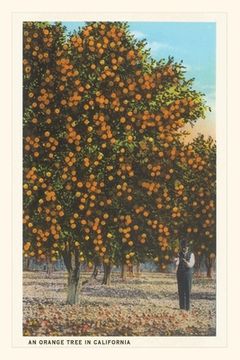 portada Vintage Journal Orange Grove (en Inglés)
