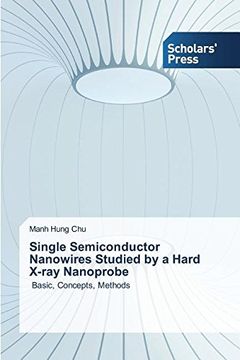 portada Single Semiconductor Nanowires Studied by a Hard X-ray Nanoprobe