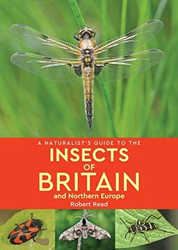 portada A Naturalist's Guide to the Insects of Britain & Northern Europe (in English)