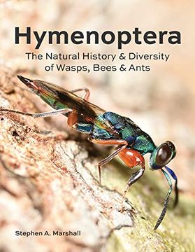 portada Hymenoptera: The Natural History and Diversity of Wasps, Bees and Ants (en Inglés)