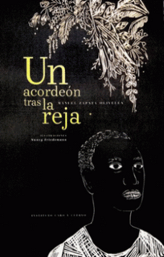 portada Un Acordeon Tras la Reja (in Spanish)