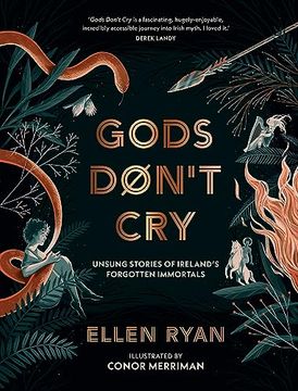 portada Gods Don't Cry: Ancient Stories That Challenge Modern Notions of What it Means to be a Hero.