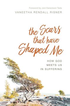 portada The Scars That Have Shaped me: How god Meets us in Suffering (in English)