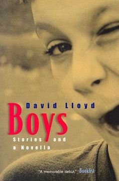 portada boys: stories and a novella (en Inglés)
