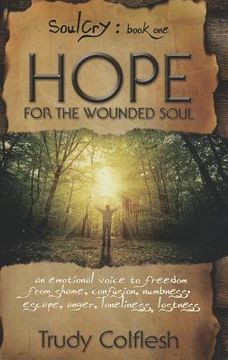 portada hope for the wounded soul, soulcry book 1: an emotional voice to freedom from shame, confusion, numbness, escape, anger, loneliness, lostness