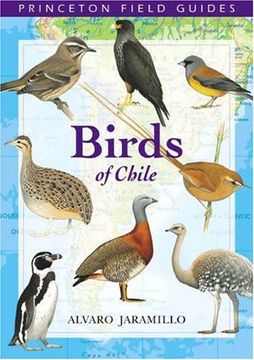 portada Birds of Chile: 28 (Princeton Field Guides) (in English)