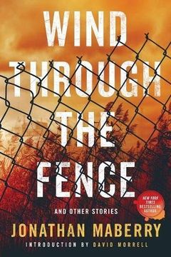 portada Wind Through the Fence: And Other Stories