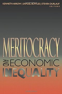 portada Meritocracy and Economic Inequality (en Inglés)