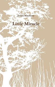 portada Little Miracle
