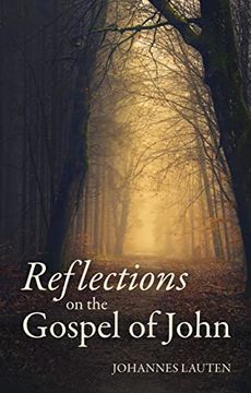 portada Reflections on the Gospel of John (en Inglés)