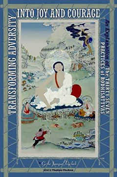 portada Transforming Adversity Into joy and Courage: An Explanation of the 37 Practices of Bodhisattvas (en Inglés)
