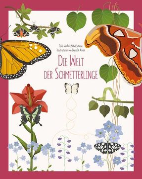 portada Die Welt der Schmetterlinge (en Alemán)