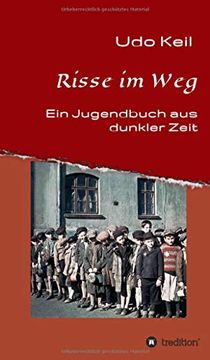 portada Risse im Weg: Ein Jugendbuch aus Deutschlands Dunkler Zeit 