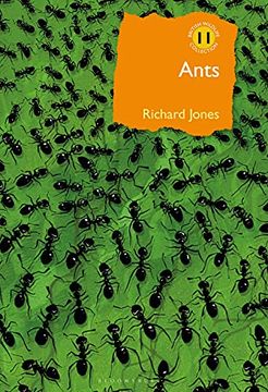 portada Ants: The Ultimate Social Insects (British Wildlife Collection) (in English)