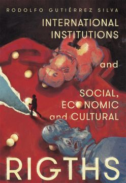 portada INTERNATIONAL INSTITUTIONS AND SOCIAL, ECONOMIC AND CULTURAL RIGHTS (in Spanish)