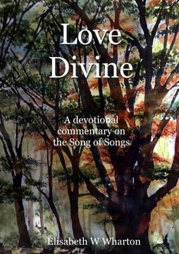 portada Love Divine (en Inglés)