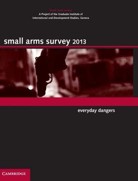 portada Small Arms Survey 2013 Hardback: Everyday Dangers 