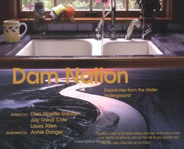 portada Dam Nation: Dispatches From the Water Underground (en Inglés)