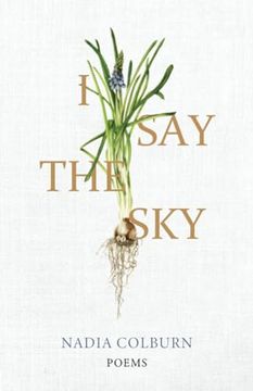 portada I say the Sky: Poems (University Press of Kentucky new Poetry & Prose Series) (in English)