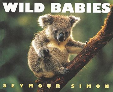 portada Wild Babies 