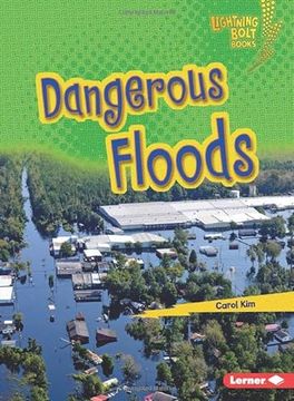 portada Dangerous Floods Format: Library Bound (in English)