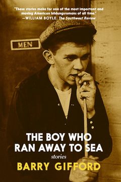 portada The Boy Who Ran Away to Sea