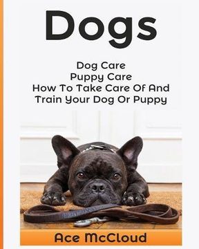 portada Dogs: Dog Care: Puppy Care: How To Take Care Of And Train Your Dog Or Puppy