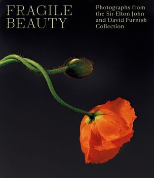 portada Fragile Beauty : Photographs from the Sir Elton John and David Furnish Collection - The Official V&A Exhibition Book (en Inglés)