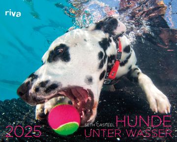 portada Hunde Unter Wasser 2025