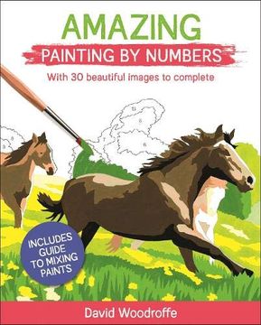 portada Amazing Painting by Numbers: With 30 Beautiful Images to Complete. Includes Guide to Mixing Paints (Arcturus Painting by Numbers) (en Inglés)