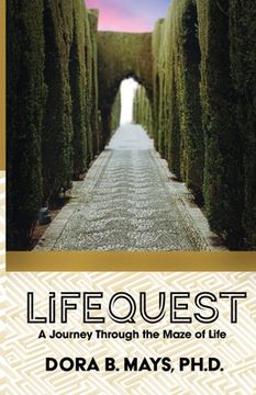 portada LifeQuest: A Journey Through the Maze of Life (en Inglés)