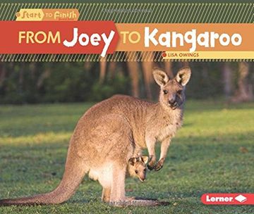 portada From Joey to Kangaroo (in English)