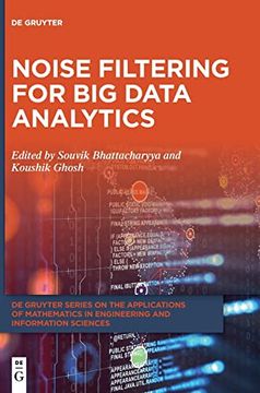 portada Noise Filtering for big Data Analytics