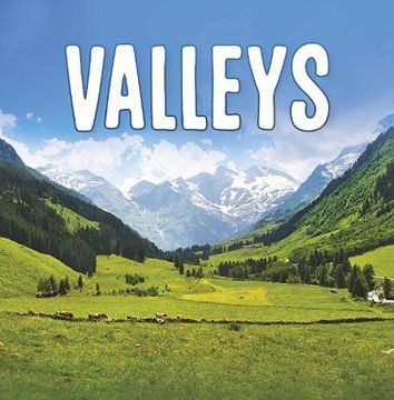 portada Valleys (Earth'S Landforms) (en Inglés)