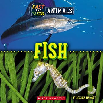 portada Fish (Wild World: Fast and Slow Animals)
