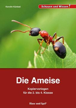 portada Die Ameise Kopiervorlagen für die 2. Bis 4. Klasse (en Alemán)