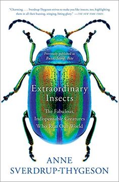 portada Extraordinary Insects: The Fabulous, Indispensable Creatures who run our World (libro en Inglés)