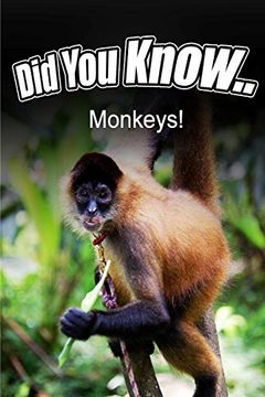 portada Monkeys (Did You Know)