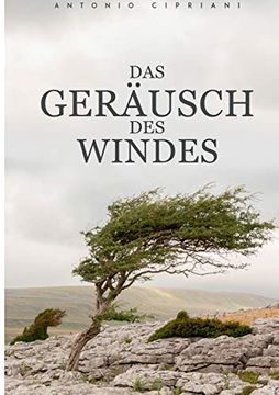 portada Das Geräusch des Windes: Hoffnungslos, Unmenschlich und Ohne Einen Ausweg (en Alemán)