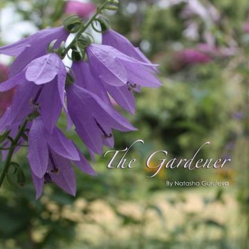 portada The Gardener: The artist's book