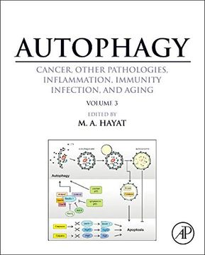 portada Autophagy: Cancer, Other Pathologies, Inflammation, Immunity, Infection, and Aging: Volume 3 - Role in Specific Diseases (en Inglés)