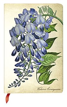 portada Painted Botanical Blooming Wisteria Mini (Painted Botanicals) (en Inglés)
