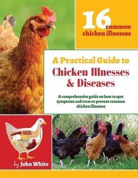 portada A Practical Guide to Chicken Illnesses & Diseases (en Inglés)