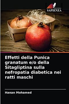 portada Effetti Della Punica Granatum e (in Italian)
