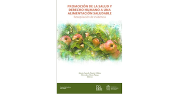 portada Promocion de la Salud y Derecho Humano a una Alimentacion Saludable: Recopilacion de Evidencia