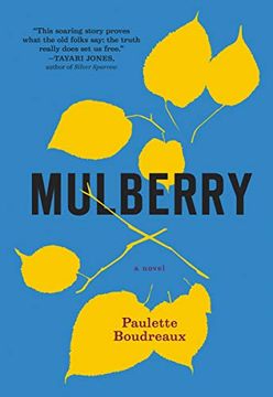 portada Mulberry: A Novel (in English)