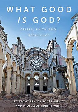 portada What Good is God? Crises, Faith, and Resilience (en Inglés)
