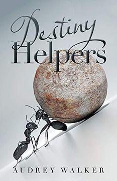 portada Destiny Helpers (en Inglés)